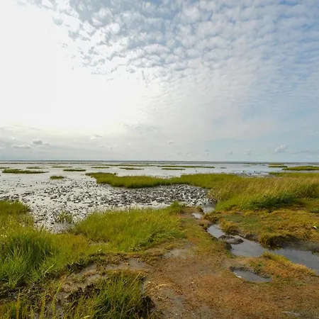 Amazing In With 1 Bedroom And Wifi Højer